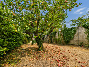 Garden- click for photo gallery